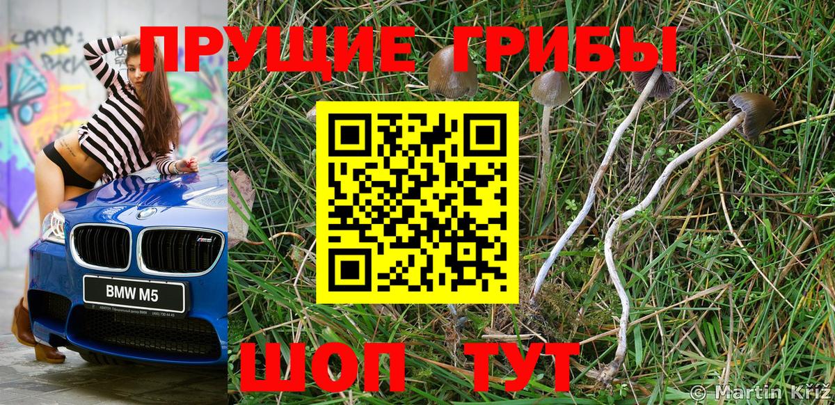 Галлюциногенные грибы GOLDEN TEACHER  Вход с VPN  Скопин 