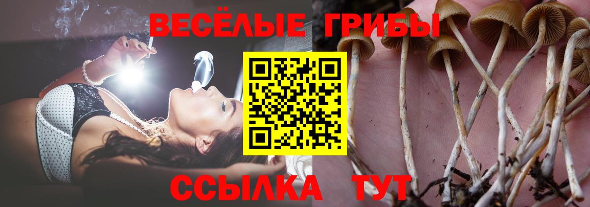 Галлюциногенные грибы Cubensis Скопин